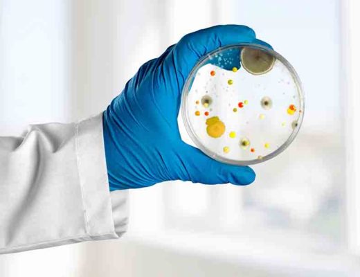 Microbes et bactéries dans une main de médecin.