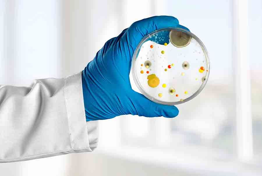 Microbes et bactéries dans une main de médecin.