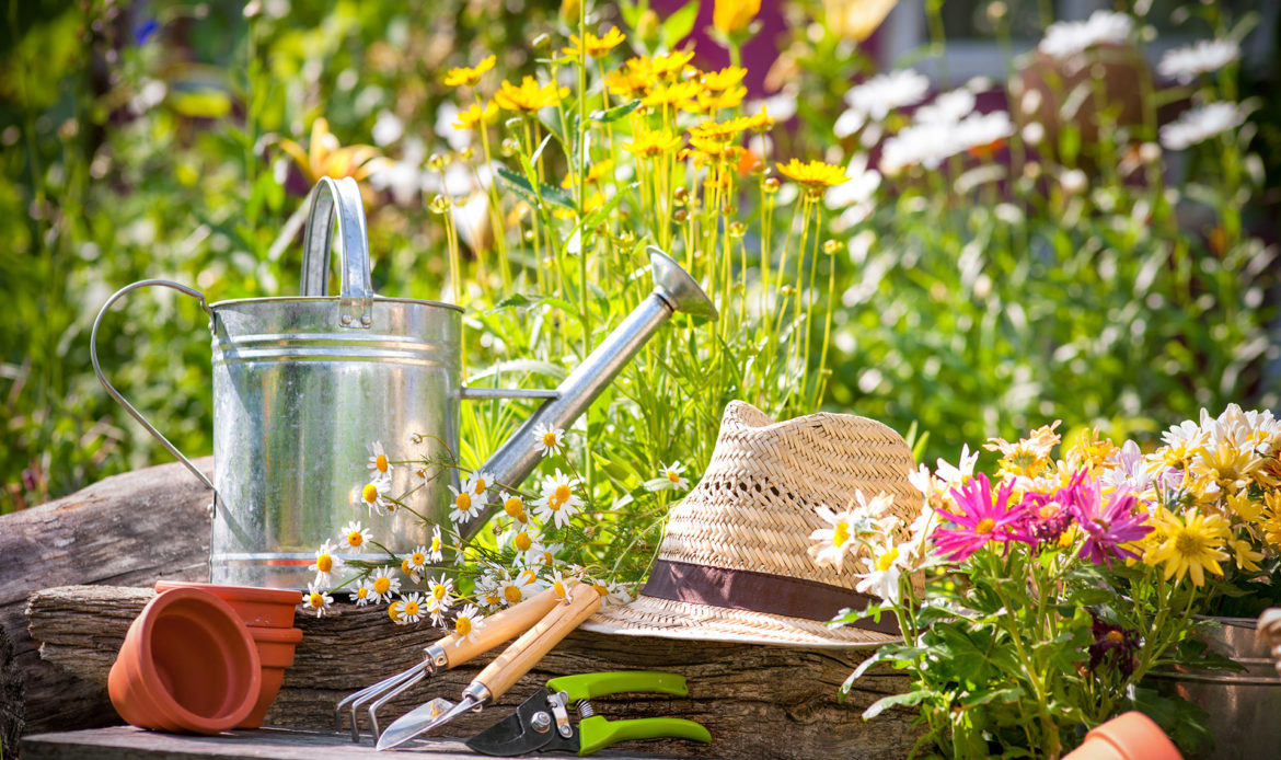 L'hortithérapie, un outil de réinsertion sociale.